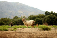 Samothraki, Greece