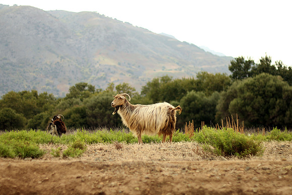 Samothraki, Greece